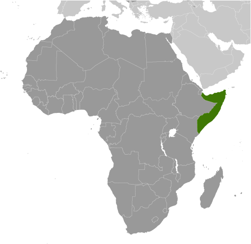 Somalia locator